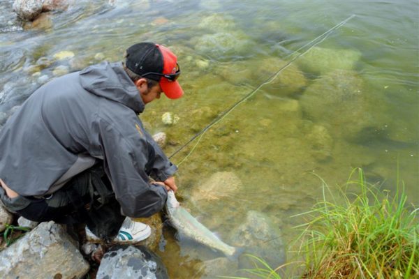 man caught a fish