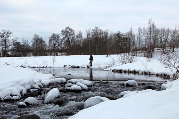 A person fishing in the river