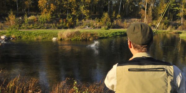 A person fishing in the river